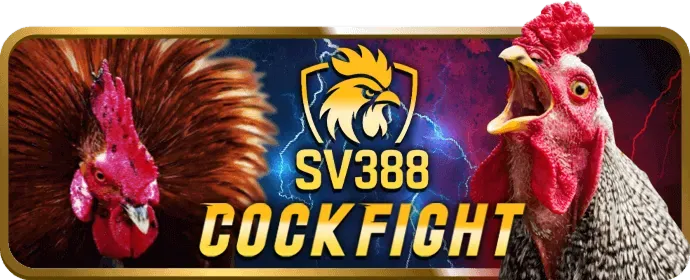 Chiến thuật chơi game bài jj888